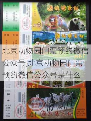 北京动物园门票预约微信公众号,北京动物园门票预约微信公众号是什么