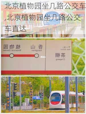 北京植物园坐几路公交车,北京植物园坐几路公交车直达