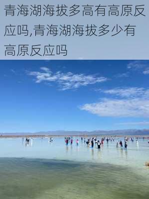 青海湖海拔多高有高原反应吗,青海湖海拔多少有高原反应吗