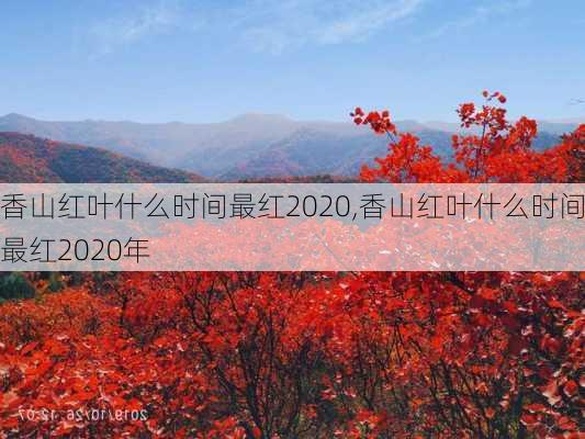 香山红叶什么时间最红2020,香山红叶什么时间最红2020年