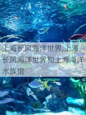 上海长风海洋世界,上海长风海洋世界和上海海洋水族馆