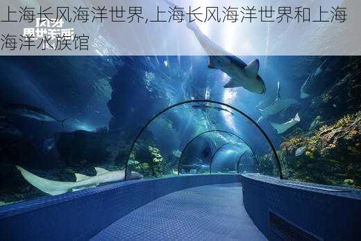 上海长风海洋世界,上海长风海洋世界和上海海洋水族馆